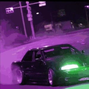 Meet your Posher, Owen